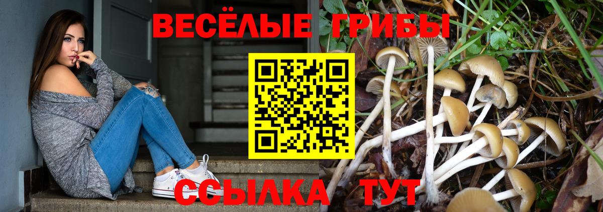 Псилоцибиновые грибы MAGIC MUSHROOMS  Вход с VPN  Псилоцибиновые грибы прущие грибы  Тара 